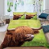 XIWEIER Bettwäsche Highland Cow Schottland, Bettbezug 200 x 200 cm, für Kinder, 2 Personen, 3D-Motiv mit Reißverschluss, hypoallergen, Mikrofaser, mit 2 Kissenbezügen, 50 x 75 cm