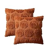 Pumpkin Fall Decorative Throw Pillow Covers, Set of 2 Soft Faux Fur Pillow Covers, Fluffy Plush Accent Pillow Cases, Farmhouse Couch Cushion Covers (Brown,50 * 50CM)