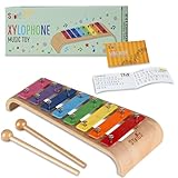 Stoie's 8 Fliesen Regenbogenfarben C-Key Xylofon Klavier Keyboard Spielzeug für Kinder Kleinkinder mit Schlägeln und Notenblatt