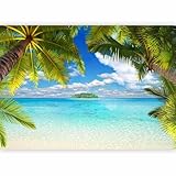 murando - Vlies Fototapete Tropische Insel 300x210cm Foto tapete Wohnzimmer Vliestapete XXL Wandtapete Motivtapeten 3d Effekt Wand Dekoration - Tropical Strand Meer Landschaft Palmen 10110903-21