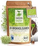 Brokkoli Samen Bio [500 Gr] - Brokkolisamen mit hohem Sulforaphan Gehalt dank Sorte'Brassica rapa sylvestris' direkt aus Italien - Im Keimglas für Brokkolisprossen oder zum sofortigen Genuss