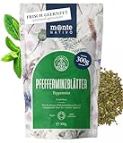 Pfefferminztee lose Monte Nativo (300g) - Pfefferminz (Peppermint) für Minze Tee - Tee lose 100% natürlich und ohne Zusatzstoffe - Aromatischer Kräutertee für einen köstlichen Aufguss