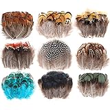 MWOOT 180 Stück Basteln Federn zum Ostern Deko, 9-Arten Ostereier Deko Bastelfedern, Natur Verzierungsfedern für Traumfänger Ohrringe Karneval Faschingskostüm Osterkranz Verzieren