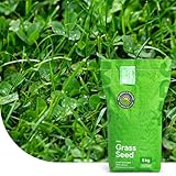 Clover Lawn: Grassamen mit Mikroklee | 1 kg - 50m2 | Ganzjährig grüner Rasen | Pflegeleicht und Trockenheitsresistent | Rasensamen für Zier- und Spielrasen | Verdrängt Unkraut, fixiert Stickstoff