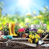 SIXRUN Hand-Unkrautzieher, Robuster V-förmiger Unkrautstecher Zur Effizienten Unkrautentfernung Im Garten, Gartengerät für Anfänger und Enthusiasten, Holz + Edelstahl, Holzfarbe 26,5 X 7 X 1,5 cm