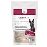 DOGS-HEART Gelenk Fit-Drops - Gelenkfreundliche Inhaltsstoffe, tierärztlich abgestimmt