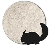 Anbobo 10 kg Chinchillasand Badesand Hamster hocherhitzt keimfrei samtweich weiß