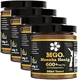 BEE NATURAL MGO 600+ PREMIUM MONOFLORAL NEUSEELAND MANUKA HONIG IN EINEM UMWELTFREUNDLICHEN ECHTGLASGEFÄß AUS NICHT GEFÄRBTEM GLAS * 4x 250G MANUKAHONIG # MGO 514 550 = UMF 15, 600 625 = UMF 16