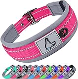 Joytale Hundehalsband, Weich Gepolstert Neopren Halsbänder für Kleine Hunde, Nylon Reflektierend Breit Halsband Hund, Leuchtend Rosa