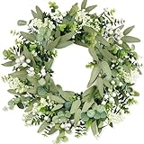 COLORSPEC Eukalyptus-Kranz für die Haustür, 46 cm/18 Zoll grüner Frühlings-Sommer-Kranz, lebensechte künstliche kleine Türkranz-Dekoration für Bauernhaus