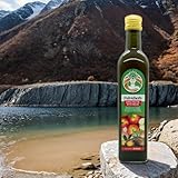 Apfelpektin mit Inulin | 2 x 500ml - Unterstützer guter Darmbakterien - Präbiotischer Komplex für die optimale Verdauung - Unterstützt den Darmtrakt gegen Histaminintoleranz - 2 Stück