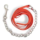 Führkette für Pferde | Sicheres Führen mit Eisenkette & Nylon Handgriff | Führleine geeignet für Hengst Hunde Pony Esel | Länge 2,10 m (Rot)