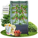 Ultiness® Balkon Gewächshaus Laura mit Pflanzkasten, Rankgitter & Schutzfolie, Tomatengewächshaus, Tomatenzelt, Foliengewächshaus – Wetterfest, UV-beständig, Platzsparendes Urban Gardening Terrasse