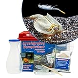 Triops und Feenkrebse Urzeitkrebse Starter Set: Eier, 2,5 Liter Kunststoff Aquarium mit Zubehör, Futter und Anleitung