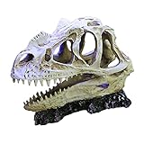Gazechimp Emulational Dinosaurier Schädelförmige Dekoration Ornament Schädel Modell Aquarium Dekor Chic Aquarium - Riesenbestie Drache