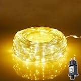 MOLVCE Lichterkette Außen und Innen mit Stecker, 10M 100 LED Lichtschlauch Warmweiß, 8 Modi Wasserdicht Fairy Lights mit Timer,Speicherfunktion für Weihnachten Partys Hochzeit Halloween Garten