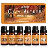 SALUBRITO Herbst Ätherische Öle Set für Diffuser, Naturrein Aromatherapie Duftöl für Diffusor 6 x 10ml – Zimt, Kürbisgewürz, gewürzter Apfelwein, Snickerdoodle, Vanille, Muskatnuss