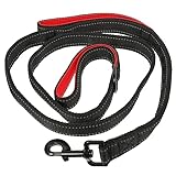 Garneck Hundeleine Metallschnalle Verstellbare Bequeme Traktionsleine für Kleine und Mittelgroße für Training und Outdoor Aktivitäten