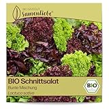 Samenliebe BIO Schnittsalat Samen Bunte Mischung Kopfsalat großer Salat bunt 500 Samen samenfestes Gemüse Saatgut für Gewächshaus Freiland und Balkon BIO Gemüsesamen