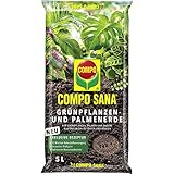 Compo SANA Grünpflanzen- und Palmenerde mit 8 Wochen Dünger für alle Zimmer- und Balkonpflanzen sowie Palmen und Farne, Kultursubstrat, 5 Liter