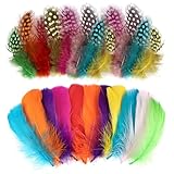 SUNRIZ Federn zum Basteln, 300 Stück Natürliche Gänsefedern 8-12cm, Feder für Traumfänger, Hochzeit Deko, Fasching, Ostern, Masken, Schulhandwerk