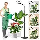 Dhapy Pflanzenlampe LED Vollspektrum, Grow Lampe für Zimmerpflanzen, Grow Light mit Standfuß, 80 LEDs 3 Lichter Modi und 5 Helligkeit, Pflanzenlampe mit Timer 6/12/16H, 58cm~170cm Höhenverstellbar