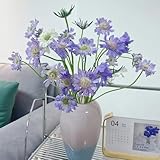 skabiose deko winterhart draußen witwenblume kräuterpflanzen, balkon seltene wohnzimmer deko wildblumen 400samen