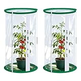 2 Stück Gewächshaus Klein, 52x28CM Zuchtkäfig für Schmetterlinge, Transparenter Netzkäfig, Überwinterungszelt für Zucht von Kleinen Insekten, Schmetterlingen und Pflanzenbeobachtung