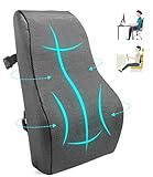 FAOKZE Ergonomisches RückenKissen aus Memory Foam, Memory Foam Rückenkissen für Bürostuhl & Sofa, Rückenkissen Stuhl mit Antistatischem (Grau)