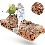 Vogelgaleria® Premium Korksitzbrett für Vögel wie Wellensittich Nymphensittich & GRATIS Knabberball | EIN Sitzbrett aus Kork sollte als Zubehör in jeden artgerecht bestückten Käfig |20x10cm groß