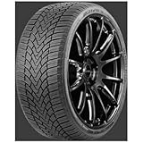 ARIVO Winterreifen 205/45 R 17 XL TL 88V WINMASTER PROX ARW3 BSW M+S 3PMSF