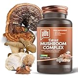 The Good Guru Extrakt Pilz Kapsel Ergänzung - 1800mg | 120 Kapseln Chaga, Reishi, Löwenmähne, Shiitake, Cordyceps und Maitake Pilze unterstützen das allgemeine Wellness mit 6 Pilzkomplex