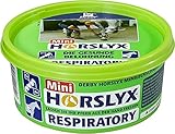 Mini Horslyx Leckmasse, Pferde Nahrungsergänzung, Respiratory 650g