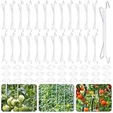 HGRGHH Tomatenhaken mit Schnur, 25 Stück Tomatenhaken Metall mit 30 Pflanzenschnalle und 10m Seil, Robuster Tomaten Haken, Tomatenstützhaken Pflanzen, Tomaten Rankhilfe Gurken für Hängende Tomaten