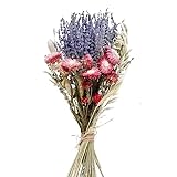 WANGZEYU Pampasgras Deko Getrocknete Lavendelblüten, Hochzeitssträuße, natürliche getrocknete Hasenschwänze, Pampasgras-Dekor, Brautjungfernsträuße, Blumenarrangements Trockenblumen(B)