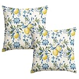 Artoid Mode Zitrone Blumen Sommer Kissenbezüge 2er Set, 45x45 cm Saisonnal Frühling Zierkissenbezug Cushion Cover Couch Wohnzimmer Deko