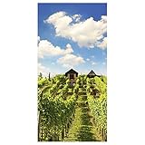 Deco Woerner Stoffbanner Sonniger Weinberg aus Fahnenstoff 100 x 200 cm schwer entflammbar