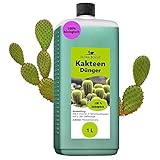 Konfitee Kakteen Dünger Flora Boost 1000ml I Für bis zu 200L Gießwasser I Für Kakteen & andere Sukkulenten Pflanzen I Flüssiger Blatt- & Wurzeldünger I 100% natürlicher Pflanzendünger