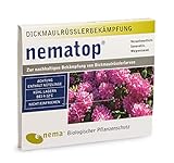 nematop® HB Nematoden zur Bekämpfung des Dickmaulrüsslers - 6 Mio. für 12m²