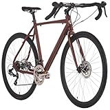 HOLLANDIA Adore Gravelbike Rennrad 28'' G3006 RH 56 cm Adore (Braun)