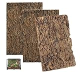 GOMETY 3 Stück Korkrinde Rückwand für Terrarium 30x20cm, Natürliche Baumrindenoptik, Terrarium Rückwand Deko, Kletterfläche für Reptilien wie Gecko, Bartagame, Schildkröte und Schlange
