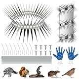 katzenabwehrgürtel - Edelstahl Marderschutz Fallrohr, Zuschneidbar mit Zubehör, Marderabwehrgürtel für Haus, Dachrinne, Baum(300cm)