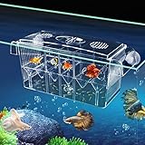 CSPone CSPone Ablaichkasten Aquarium Klein Laichbecken Aquarium Fisch-Züchterbox Zuchtbecken Aufzuchtbecken Noppen Transparent Trennwand für ​Fische