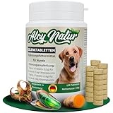 Gelenktabletten Hund | 150 Tabletten reichen für bis zu 10 Monate | hoher Grünlippmuschel Anteil in Vollfett-Qualität, Teufelskralle & MSM | Gelenktabletten für Hunde | stärken die Gelenkfunktion