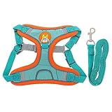 Kisangel 1 Satz Kleiner Hundegurt Hundegeschirre Für Kleine Hunde Gurte Groß Hunde -wanderzubehör Atmungsaktiv Kleines Hundegeschirr Welpe Gepolstert Zurück Blue Tuch