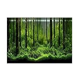 Haofy Aquarium Hintergrund Aufkleber, PVC Klebstoff Aquarium Poster mit Unterwasser Meeresboden Waldmuster, Fish Tank Hintergrund Dekoration Papier für Aquarium Dekoration
