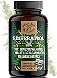 Resveratrol -1000mg je Tagesdosis- WICHTIG: 100:1 Extrakt (=100000mg jap. Staudenknöterich Wurzel) +Piperin I 98% Trans-Resveratrol Hochdosiert I Laborgeprüft -DE- SCHEUNENGUT®