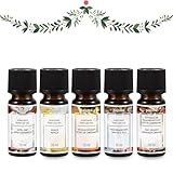 Duftöl Set XMAS 5x 10ml - Apfel-Zimt, Zimt-Orange, Wintermärchen, Weihnachtsduft & Vanille | Weihnachtsöl - Weihnachtsduft | feinstes Parfümöl für Aromatherapie, Duftlampen, Diffuser