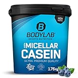 Bodylab24 Casein Micellar Blaubeere 1750g, 100% pures Casein, reich an BCAA-Aminosäuren, langes Sättigungsgefühl, unterstützt den Muskelaufbau und -erhalt, ideal während einer Eiweiß-Diät