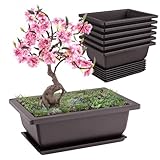 Forhandy 6 Stück Bonsai Schale, Wiederverwendbar Bonsai Topf mit Tabletts, 16.5x12x6cm Bonsaischale für Gärten Terrasse Innenhöfe Büros Wohnzimmer Balkone